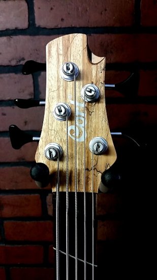 CORT A5 Plus SCFF 5 string bass ギター - 輸入ギターなら国内最大級