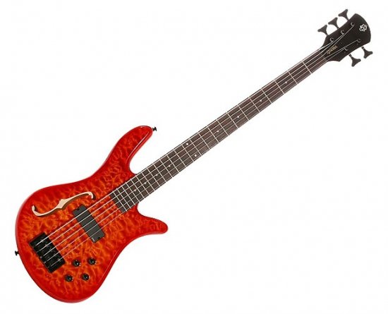 Spector deals fretless bass