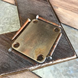 Real Life Relics Fender Style Neck Plate with Screws Aged Nickel 送料無料