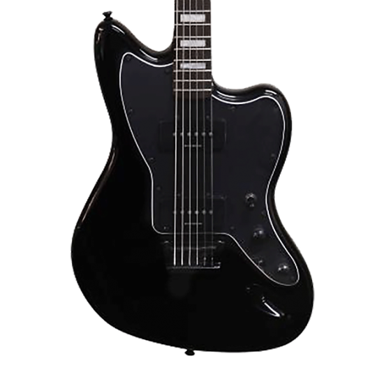 epiphone artist series