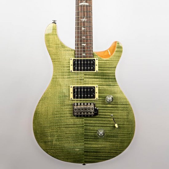 Paul Reed Smith SE Custom 24 in Trampas Green ギター - 輸入ギター