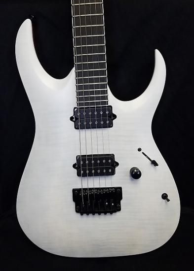 Ibanez RGA Iron Label RGAIX6FM Electric Guitar - White Frost Flat