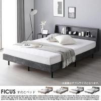 êդΤ٥å FICUSڥեۥ٥åɥե졼Τ 󥰥