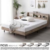 êդΤ٥å FICUSڥեۥ٥åɥե졼Τ ߥ֥