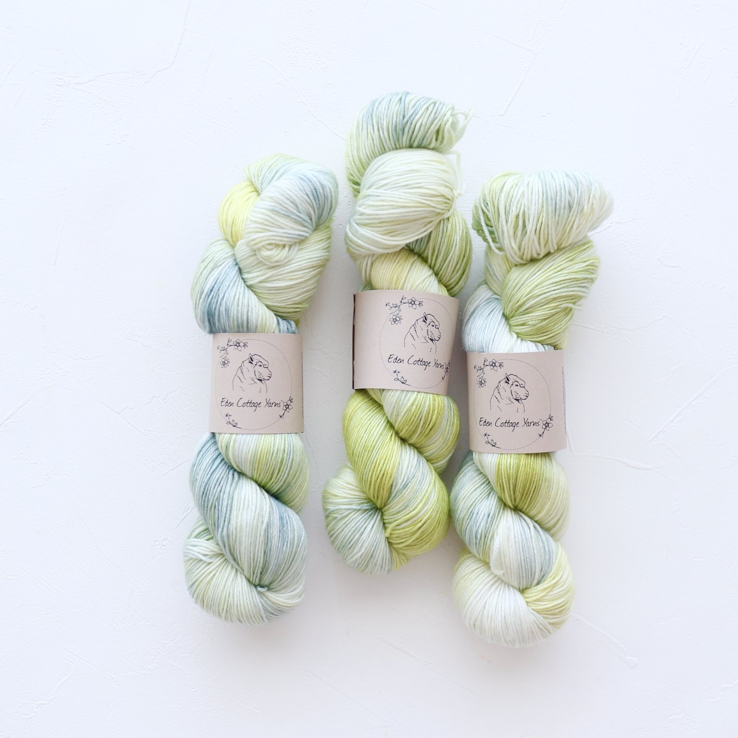 【Eden Cottage Yarns】<br>Pendle 4ply<br>Dragonfly