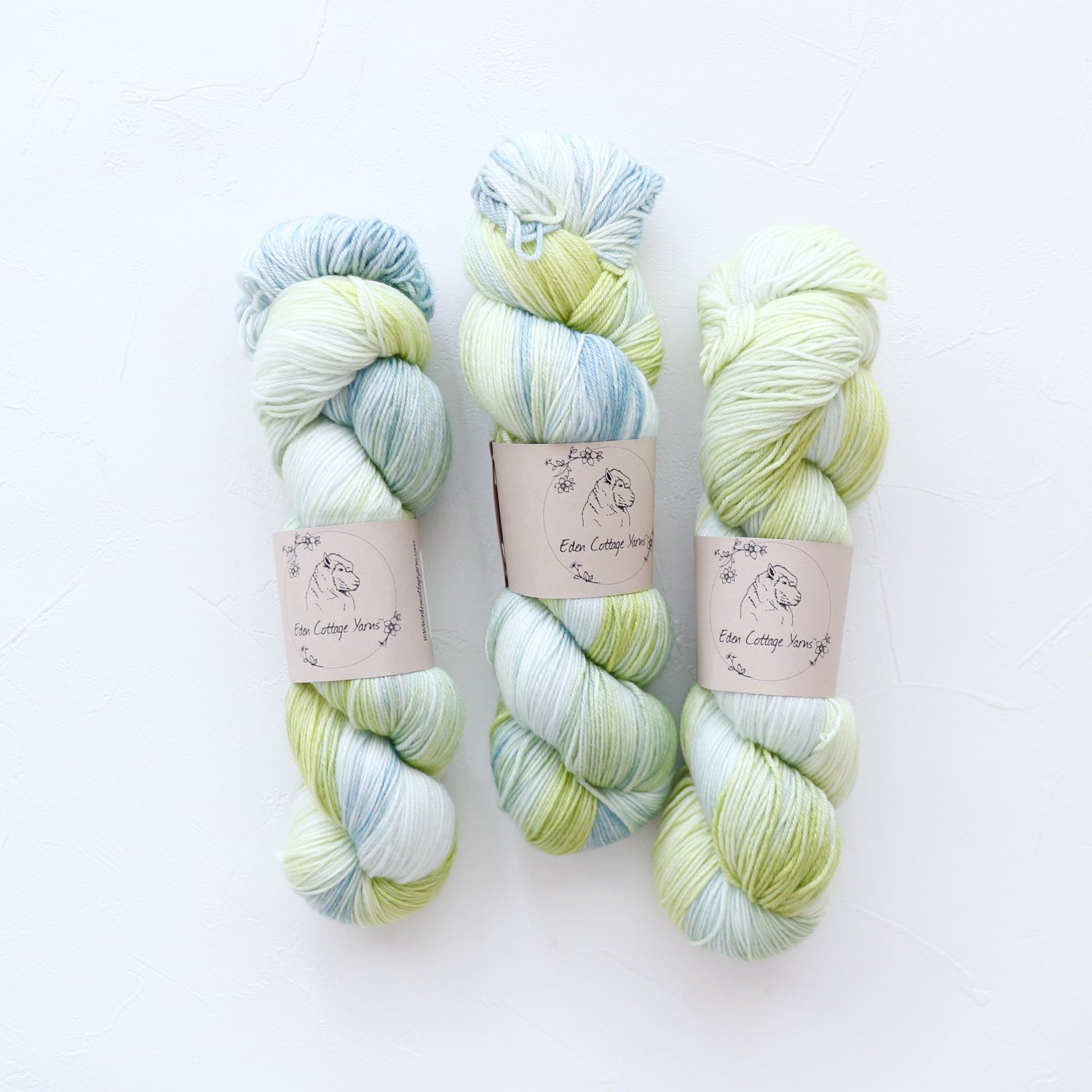 Eden Cottage Yarns<br>Pendle 4ply<br>Dragonfly