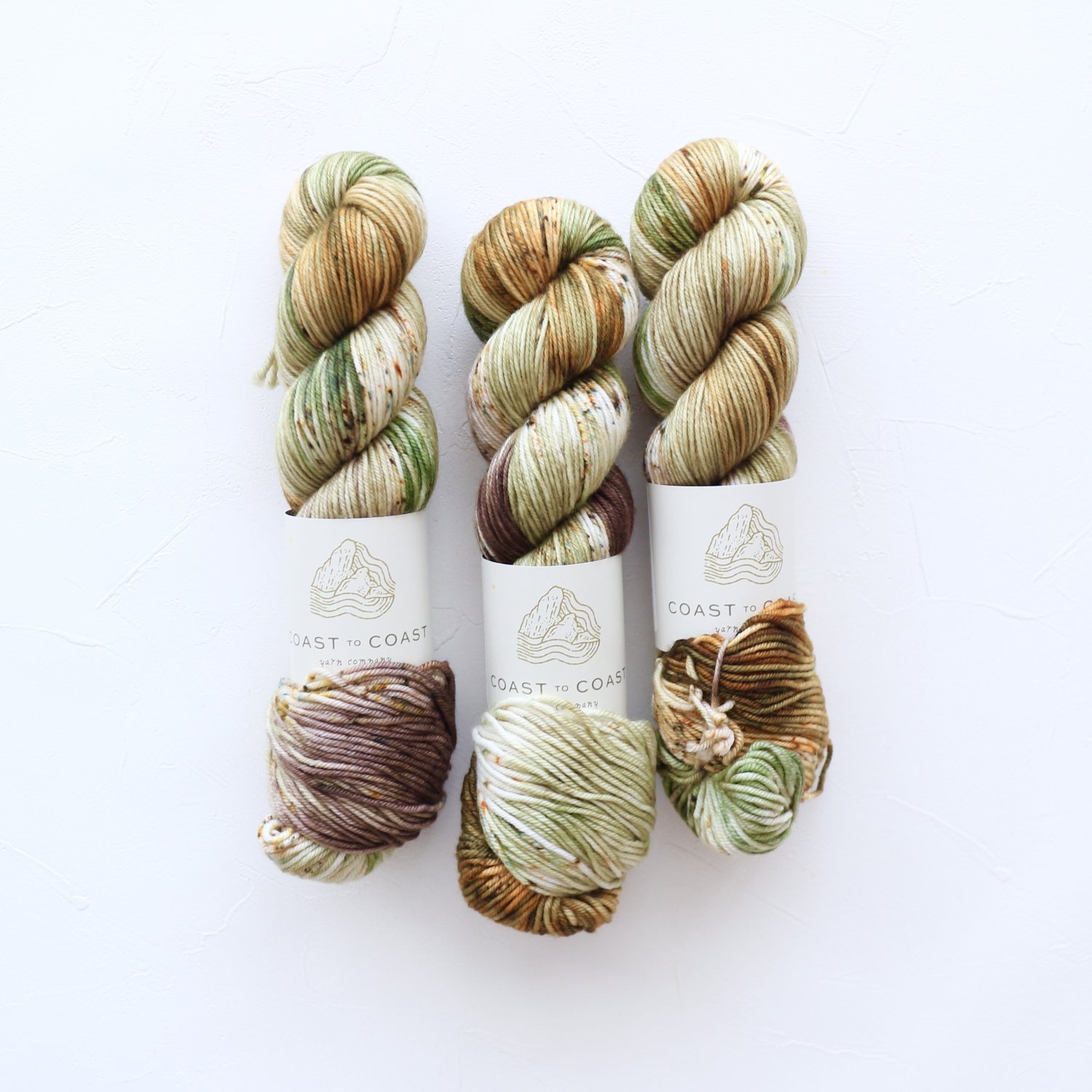 【Coast to Coast Yarn Co】<br>Classic DK<br>Earth Day Every Day