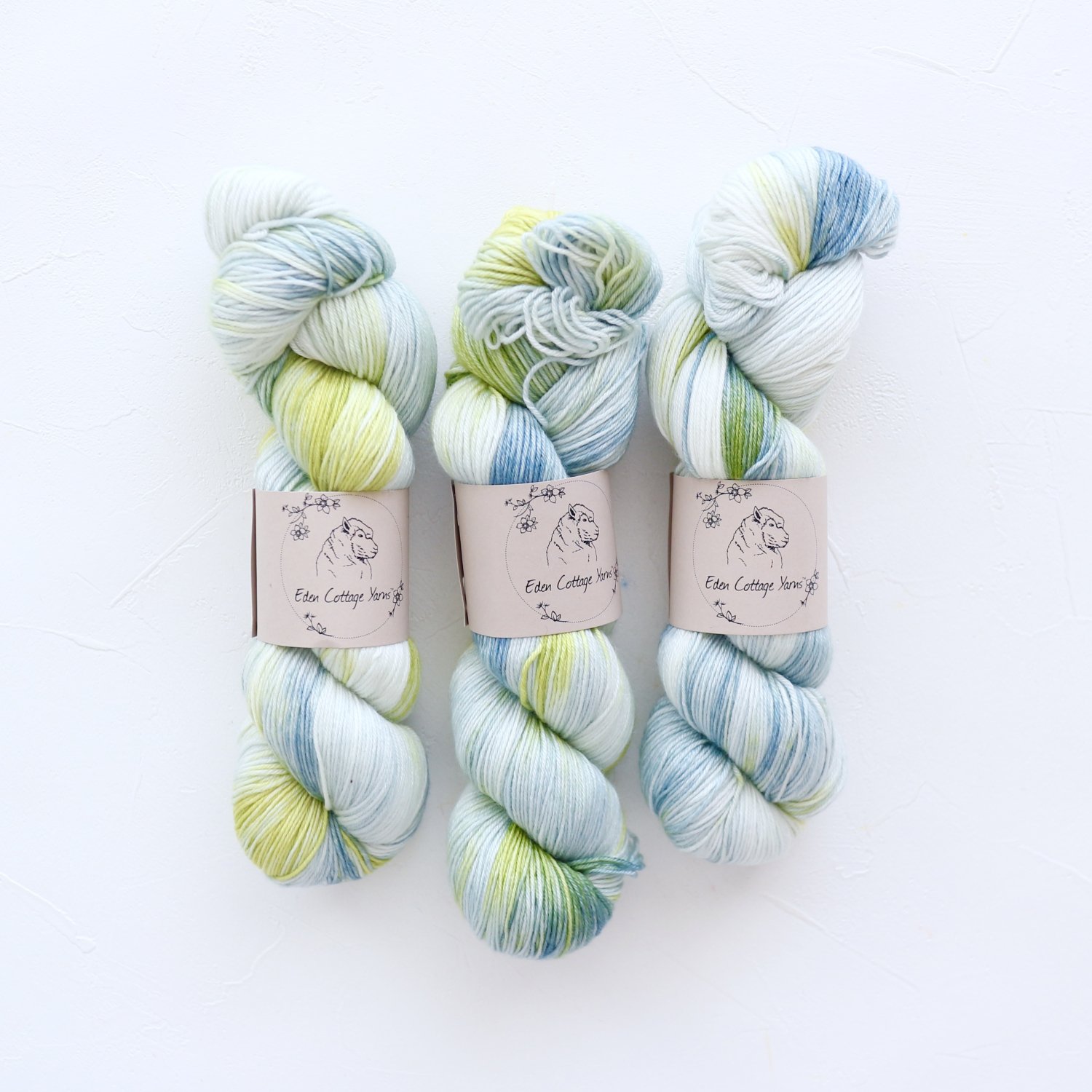 Eden Cottage Yarns】Pendle 4plyDragonfly - 輸入手染め毛糸セレクト