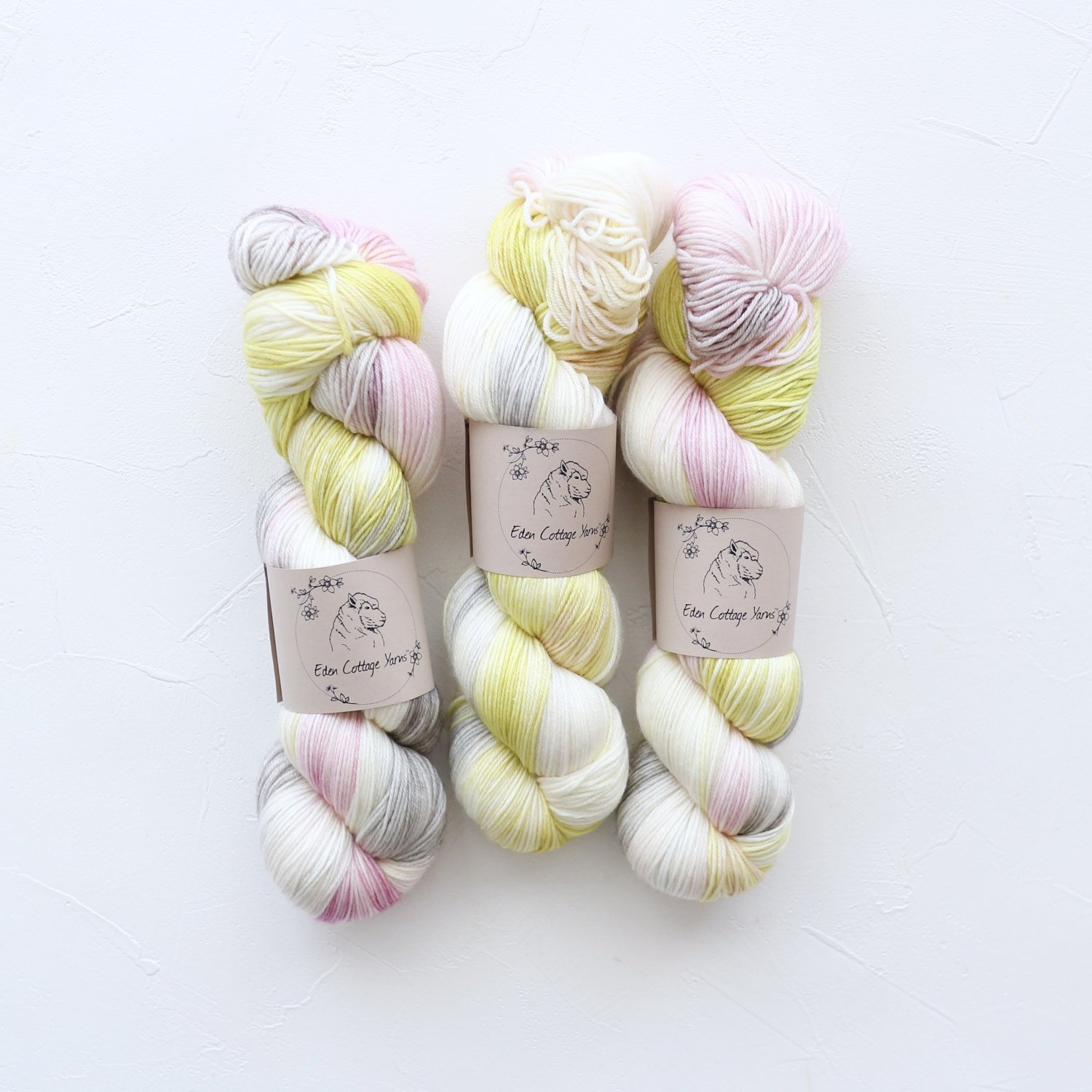 【Eden Cottage Yarns】Pendle 4plyCosmos Flowerbed -  輸入手染め毛糸セレクトショップ【Yarnaholic】