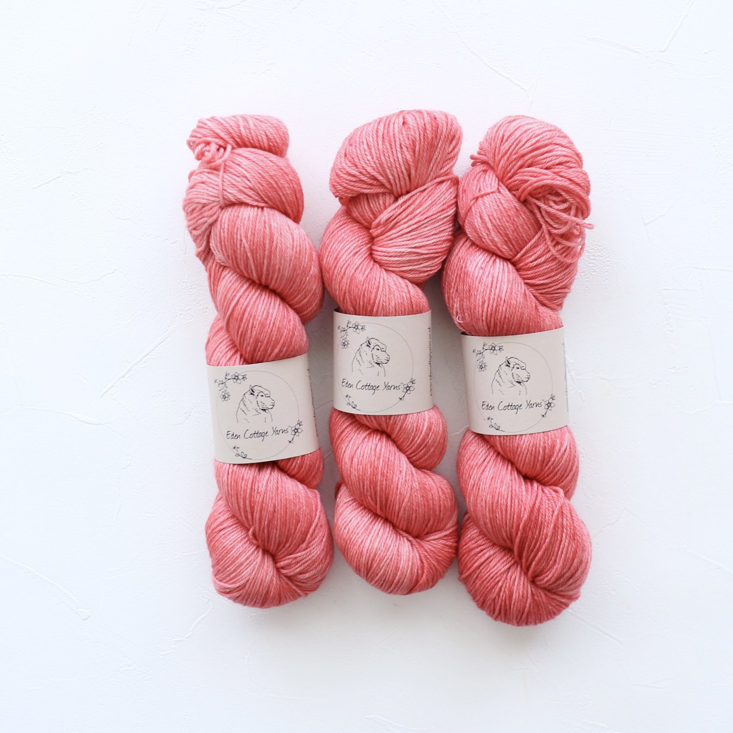 Eden Cottage Yarns】Pendle SportDianthus - 輸入手染め毛糸セレクト ...