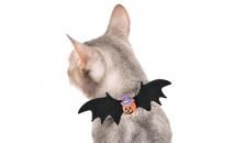 ☘️Cat Amo.k☘️おこまさん 　　　☘️ キャットカラー☘️【ブラック】 ☘️Cat Amo.k☘️おこまさん ☘️ キャットカラー