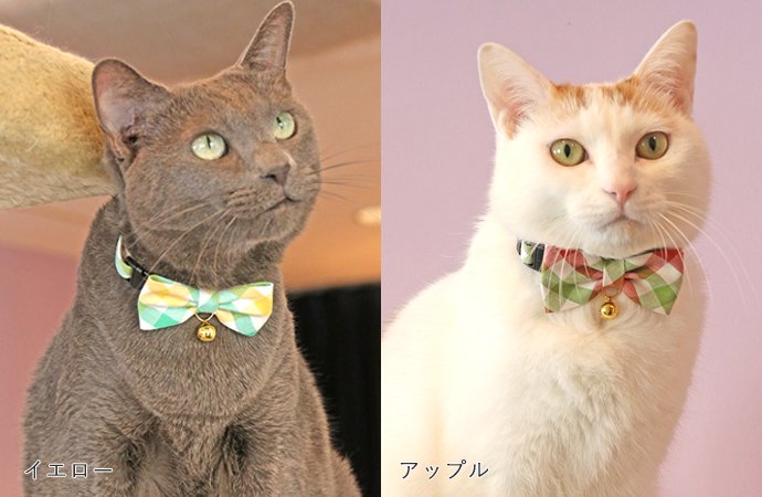 ●Cat Amo.k　福まねき猫　カラー　S・Mサイズ　猫用（レッド・パープル・ネイビー）