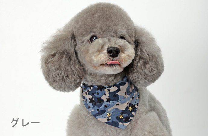 【Dog Amo.k】星と迷彩 バンダナ -首輪通販サイト【Amo.k shop】犬や猫・ウサギ・フェレット・ハムスター用