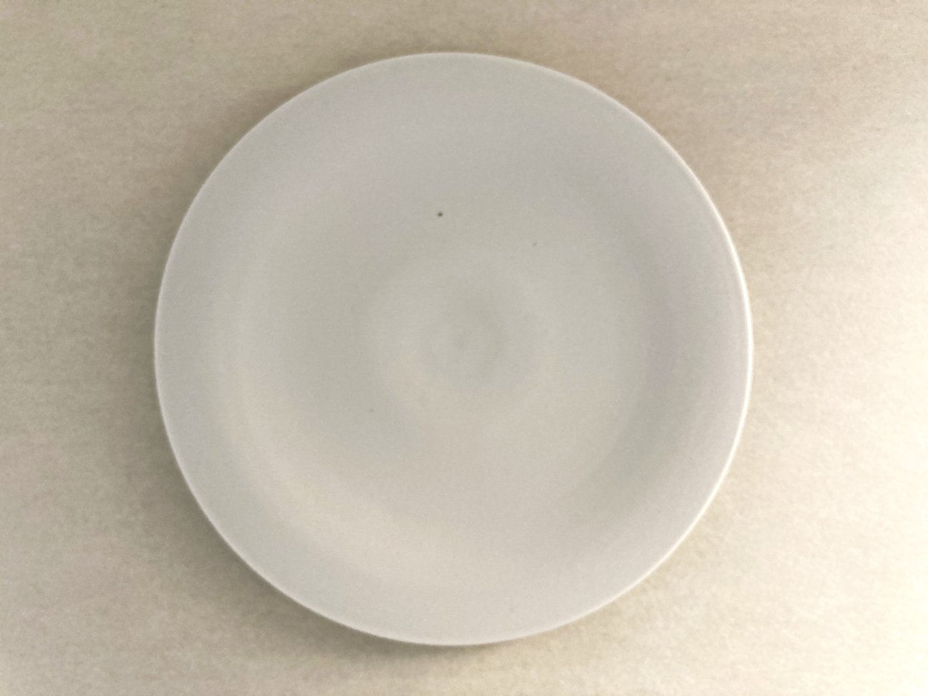 白磁平皿 White porcelain plate
