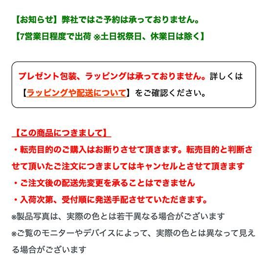 D-Bike Master / 14インチ用 クイックテイク補助車