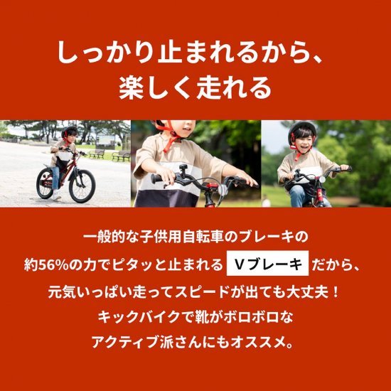 D-Bike Master Fit 14 / ディーバイク マスターフィット 14