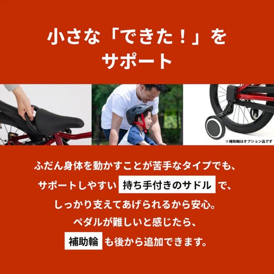 D-Bike Master Fit 14 / ディーバイク マスターフィット 14