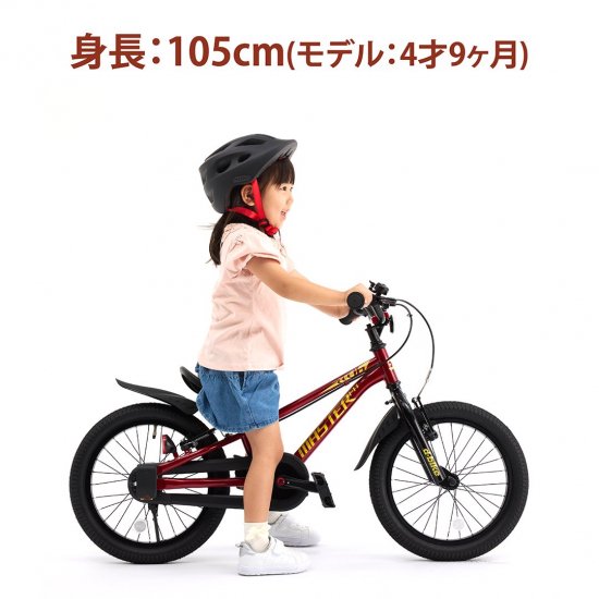 D-Bike Master Fit 16 / ディーバイク マスターフィット 16