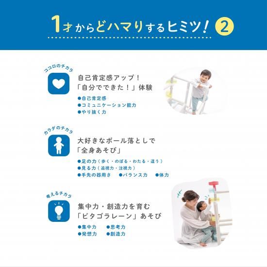 夢中であそびつづける「ムゲンループジム(ころころボールジム)」