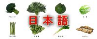 フリーズドライ野菜 日本語