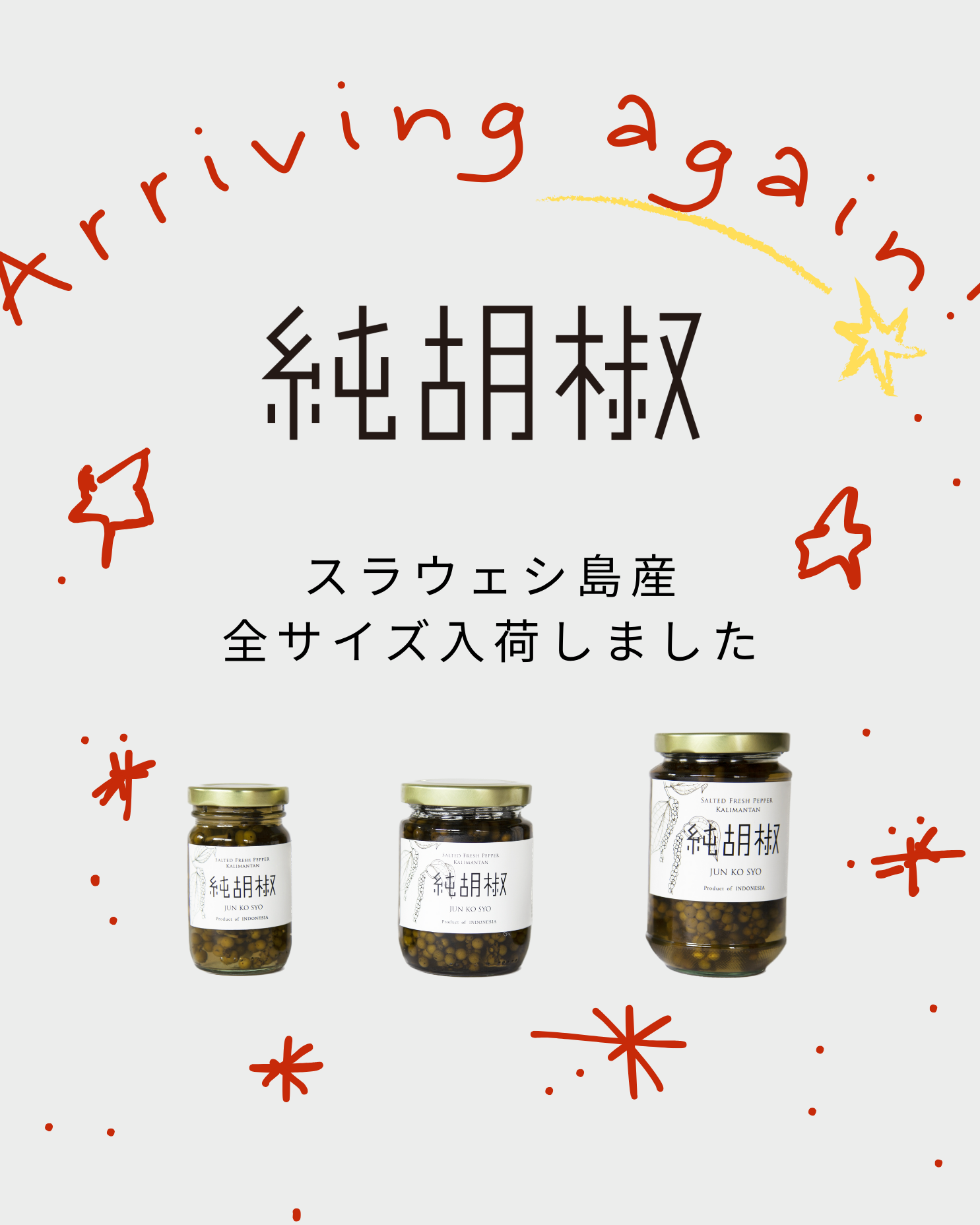 第3便 スラウェシ島産入荷しました!