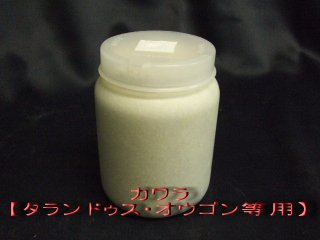 菌糸ボトル・ブロック・添加剤 - ドルビーインセクト