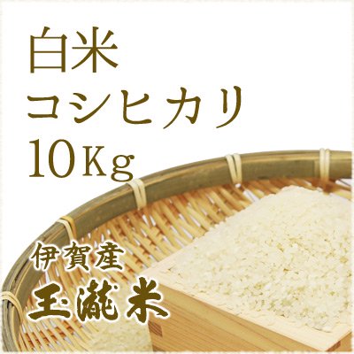 玉瀧米【農家からおいしいお米を産地直送販売】コシヒカリ（白米）10kg