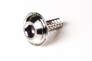M4 Shave Out Collectionフランジタッピングスクリュー  12mm チタン