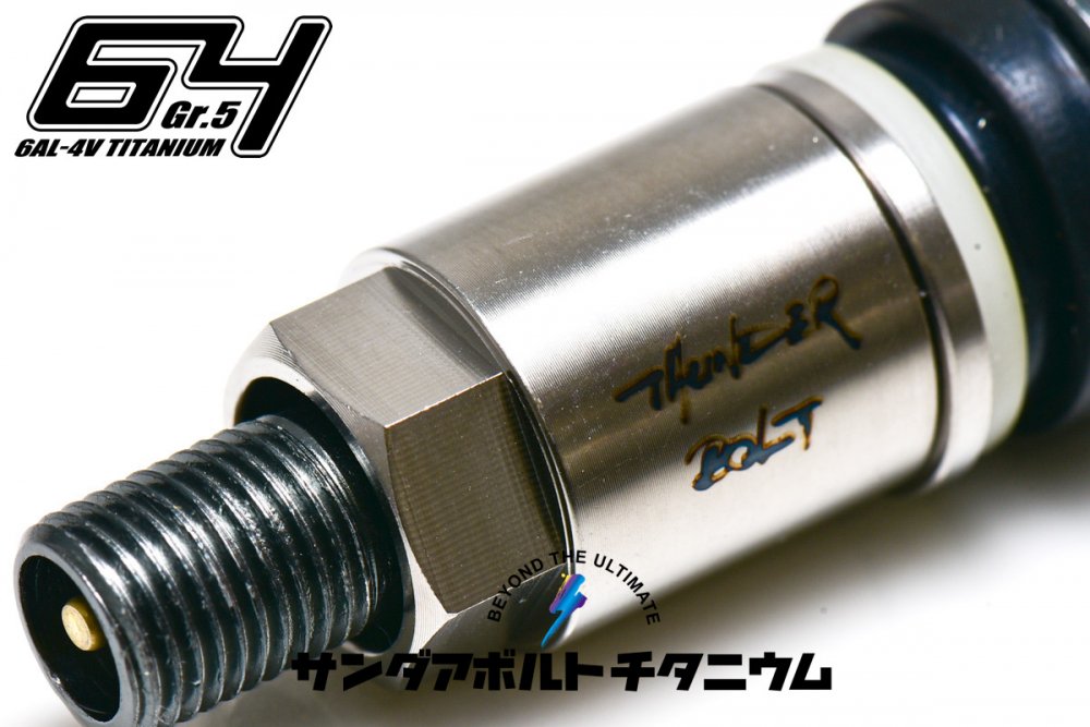 TPMS Body Shave Out Collection (バルブボディ)