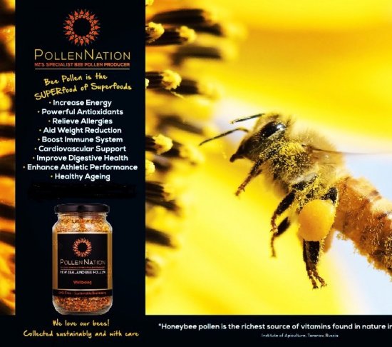 Pollen Nation BEE POLLEN ポーレンネーション社 ビーポーレン(100g