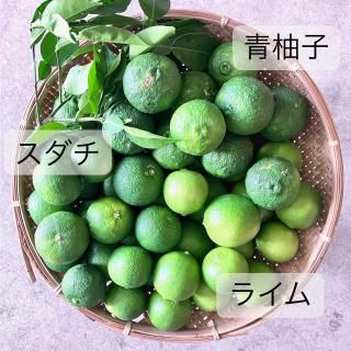 <img class='new_mark_img1' src='https://img.shop-pro.jp/img/new/icons1.gif' style='border:none;display:inline;margin:0px;padding:0px;width:auto;' />2025ǯٻ۹  ͮҡ饤 