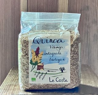 <img class='new_mark_img1' src='https://img.shop-pro.jp/img/new/icons1.gif' style='border:none;display:inline;margin:0px;padding:0px;width:auto;' />Le Coste  Quinoa Vikinga    ̥ 