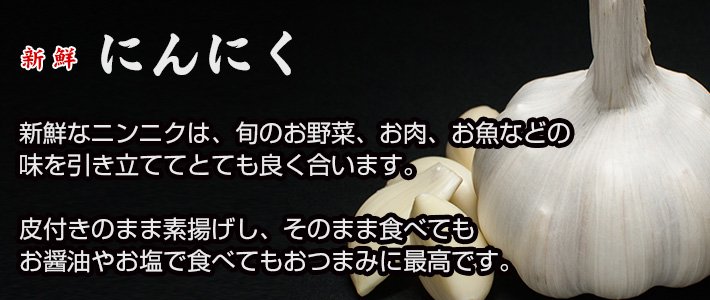 えぬわた氏 大分県竹田市産 5月収穫にんにく箱込み約1k300g その他