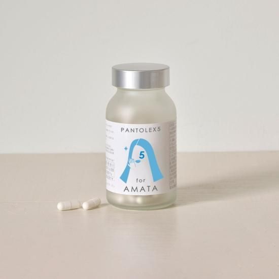 栄養補助食品　美人スタイル 井藤漢方 短期スタイル ダイエットシェイク チョコラトリー (25g