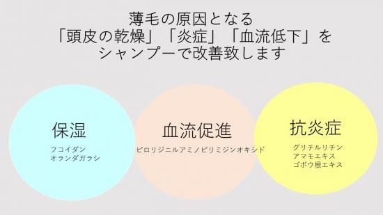 スカルプ＆ヘアケアTSシャンプー MEN＆WOMEN（スカルプ