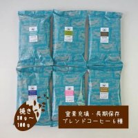 6種類から選べる！窒素充填・長期保存可能 ブレンドコーヒー小袋(挽)(100g)ｘ6袋セット