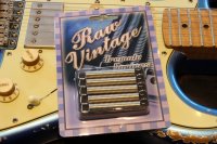 Raw Vintage/RVTS-1(Tremolo Springs)