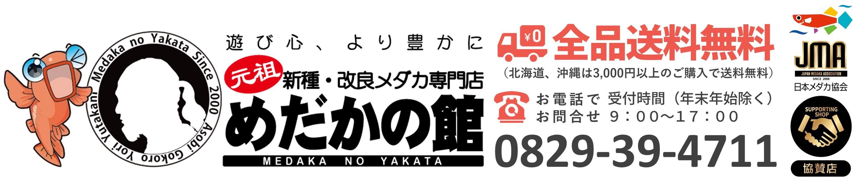 めだかの通販・販売専門店-めだかの館-