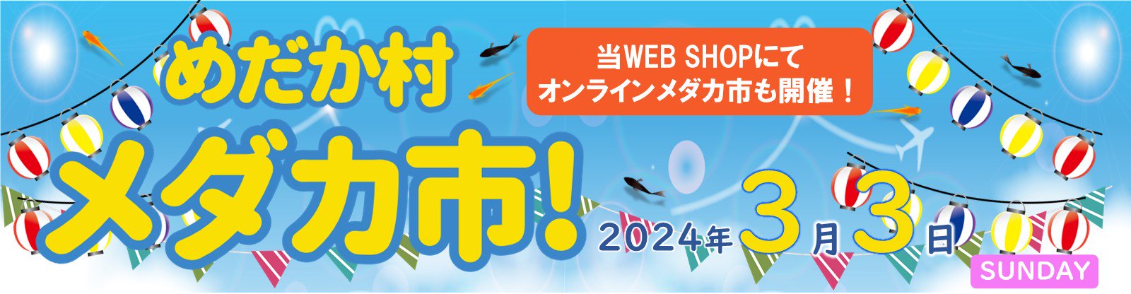 めだか村メダカ市 - めだかの通販・販売専門店-めだかの館-