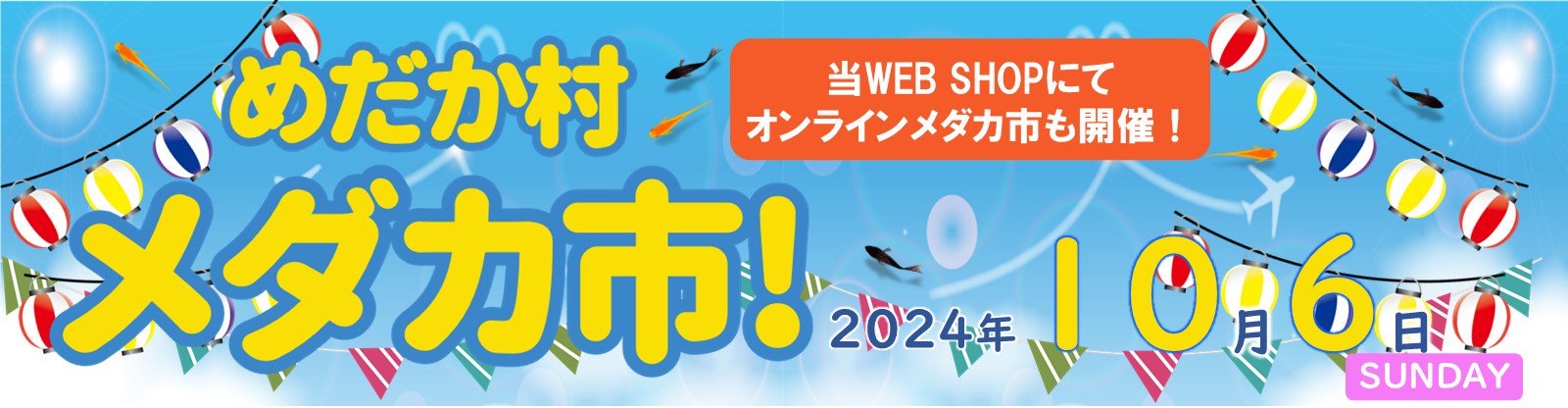 めだか村メダカ市 - めだかの通販・販売専門店-めだかの館-