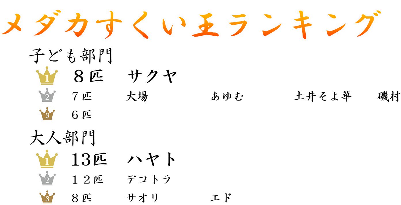 メダカ祭りめだかすくい大会結果発表 - めだかの通販・販売専門店-めだかの館-