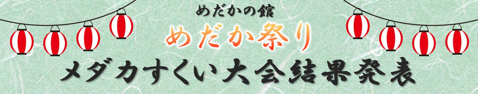 メダカ祭りめだかすくい大会結果発表 - めだかの通販・販売専門店-めだかの館-