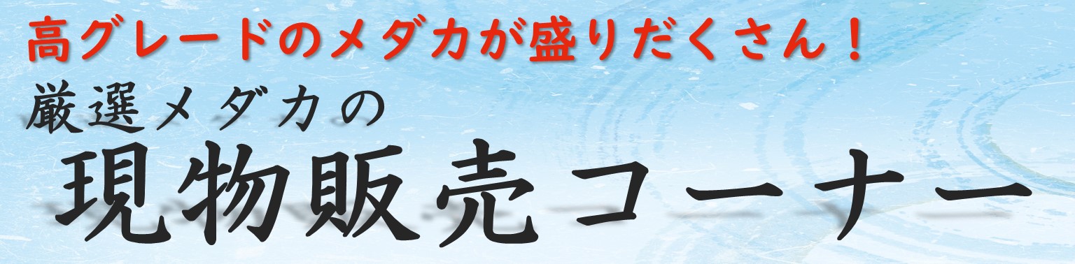 めだかの館】厳選メダカの現物販売