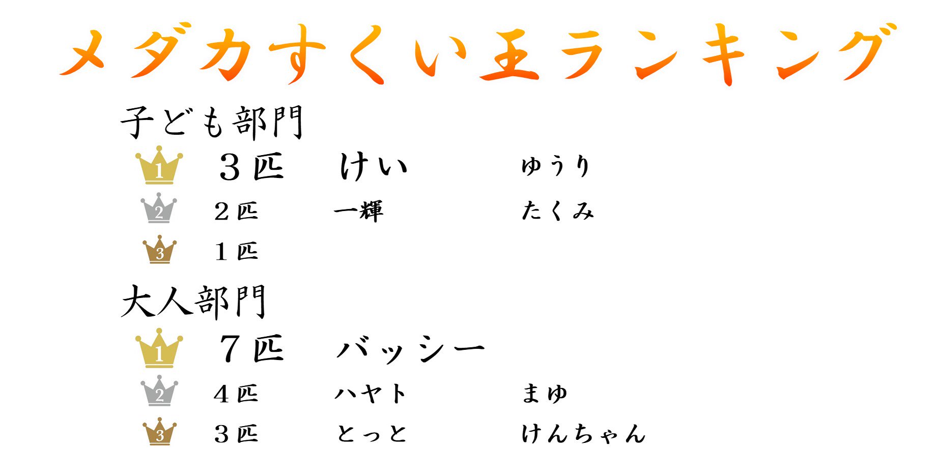 メダカ祭りめだかすくい大会結果発表 - めだかの通販・販売専門店-めだかの館-