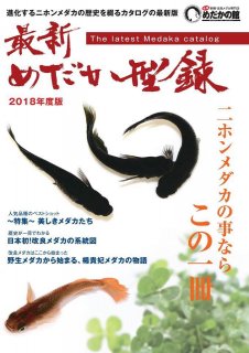 商品検索 - めだかの通販・販売専門店-めだかの館-