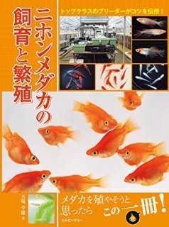 商品検索 - めだかの通販・販売専門店-めだかの館-