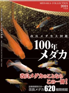 商品検索 - めだかの通販・販売専門店-めだかの館-