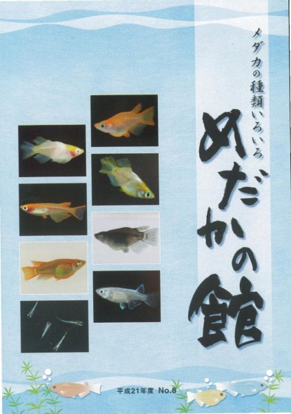 平成21年度版　メダカの種類いろいろめだかの館カタログ　No8 - めだかの通販・販売専門店-めだかの館-