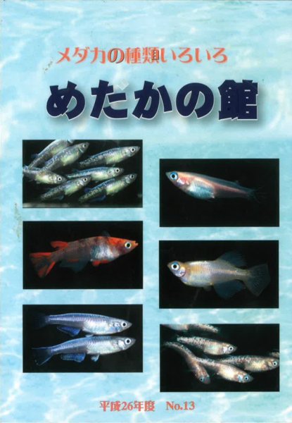 平成26年度版 メダカの種類いろいろめだかの館カタログ No13 - めだかの通販・販売専門店-めだかの館-