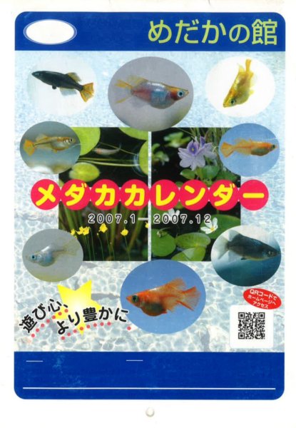 平成19年度版 メダカの種類いろいろめだかの館カタログ No6 - めだかの